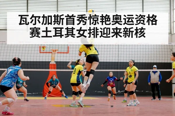 women's volleyball match