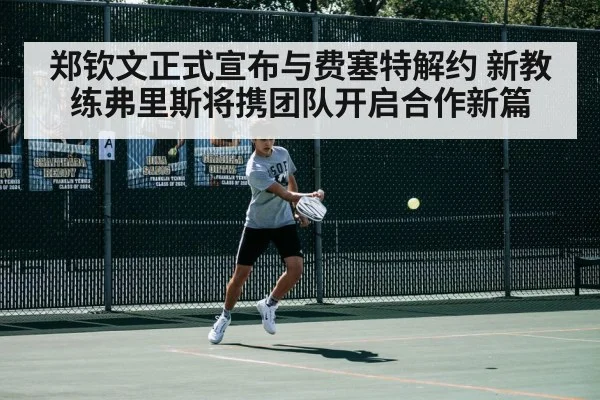 tennis court action