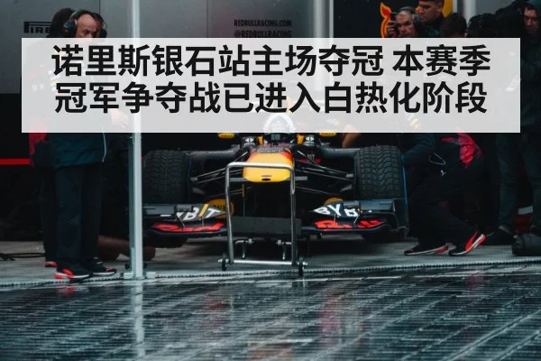诺里斯银石站主场夺冠 本赛季冠军争夺战已进入白热化阶段