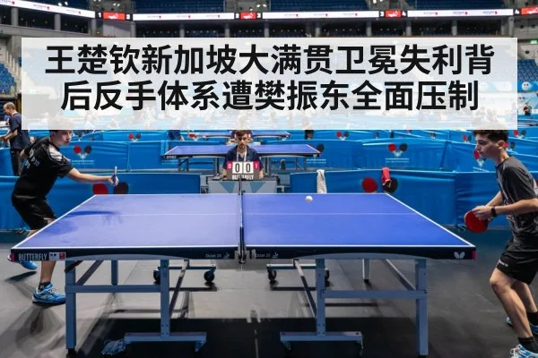 王楚钦新加坡大满贯卫冕失利背后反手体系遭樊振东全面压制